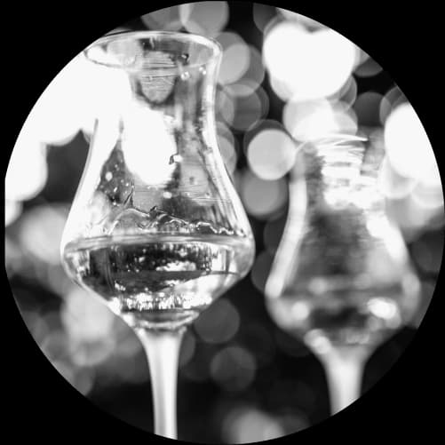 2020 - Pisco Image