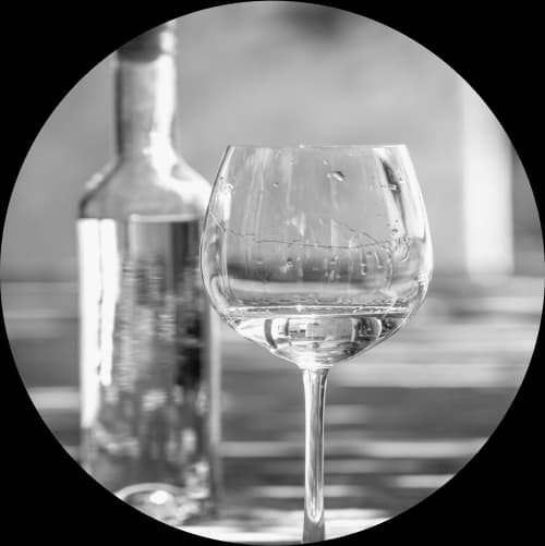 2022 - Pisco Image